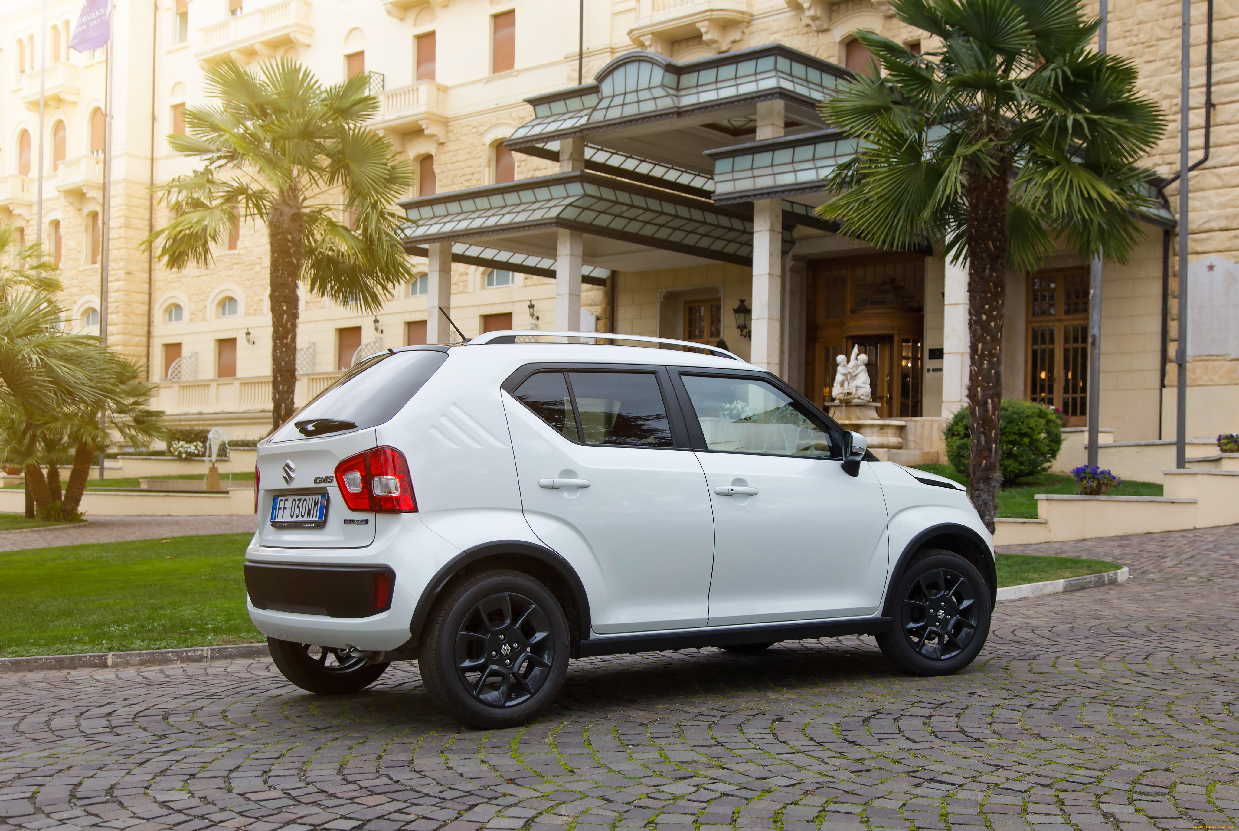 , suzuki